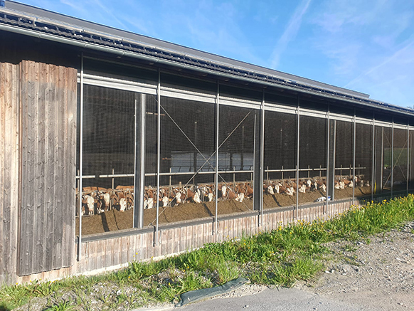 Burgschwaiger Fleckvieh - Hof - Stall außen